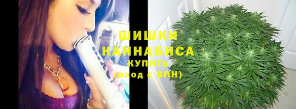 ALPHA PVP Корсаков