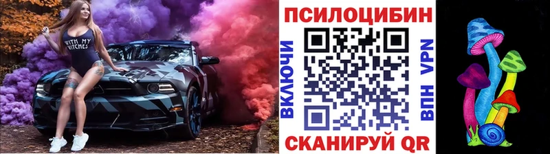 площадка Telegram  Сясьстрой  Псилоцибиновые грибы ЛСД  купить наркотик 
